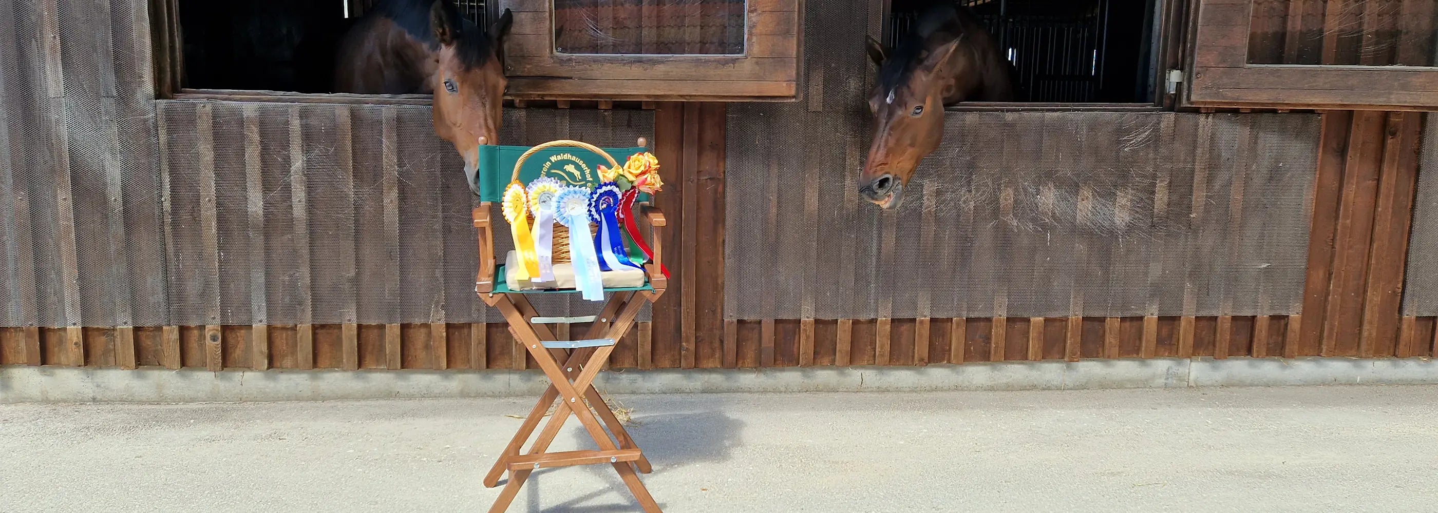 Regiestuhl mit Schleifen und Vereinslogo vor einem Stall, beobachtet von zwei neugierigen Pferden.